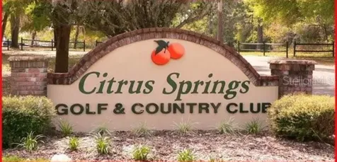 875 E Elston Place Citrus Springs FL 34434
