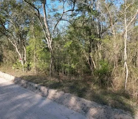 Jasper FL 32052
