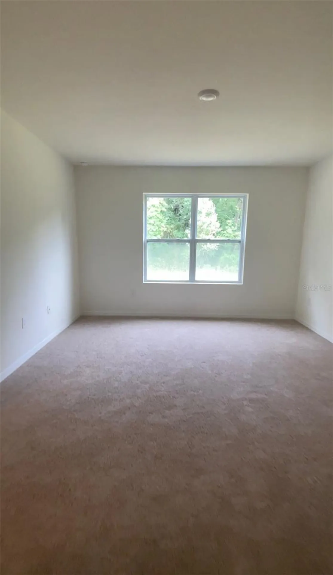 Apopka FL 32712