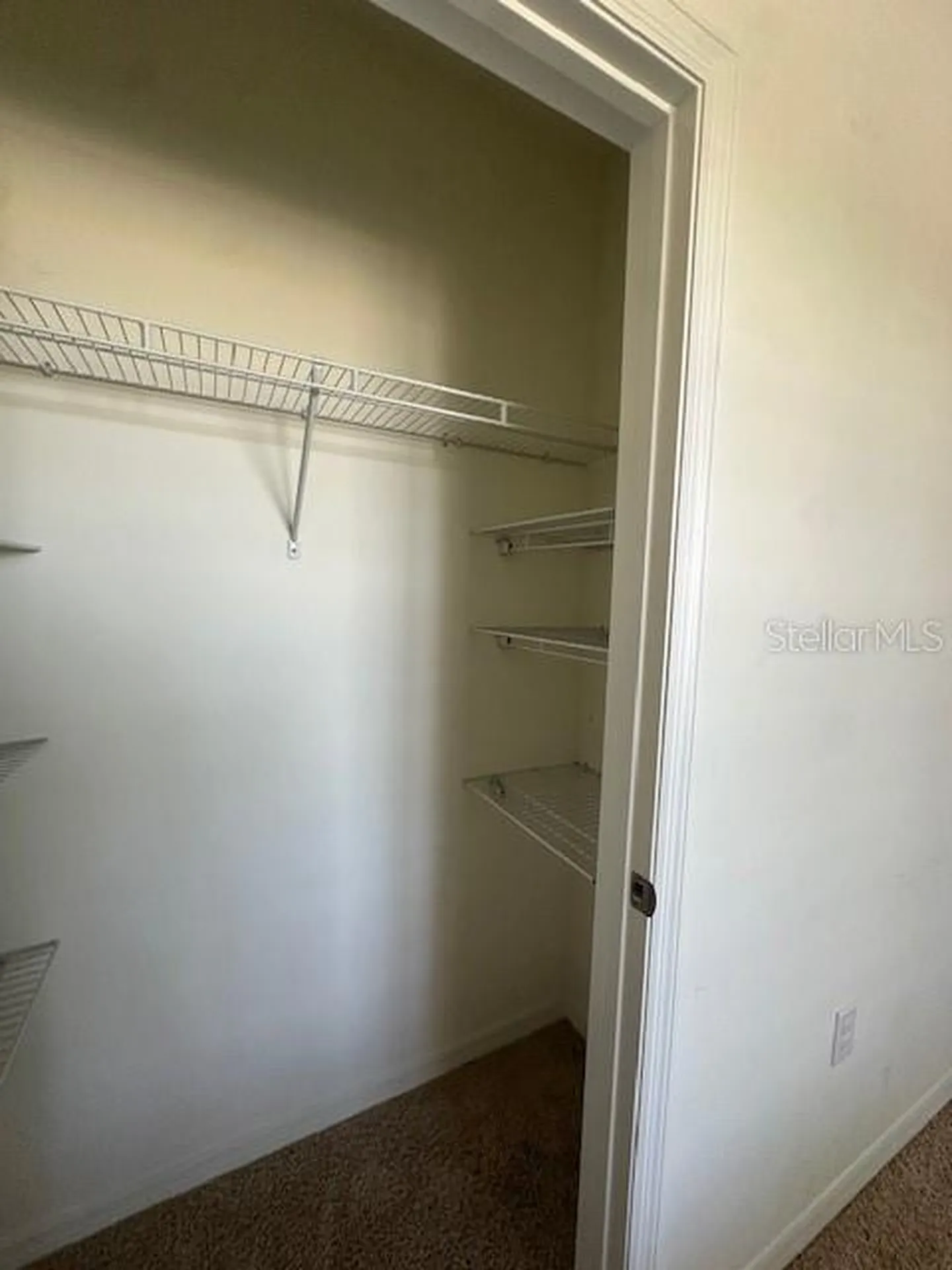 Apopka FL 32712