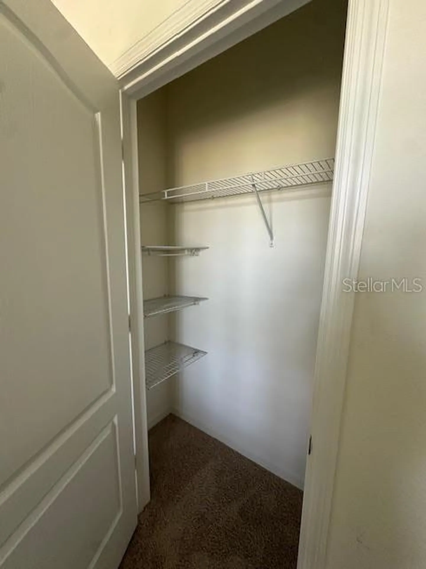 Apopka FL 32712