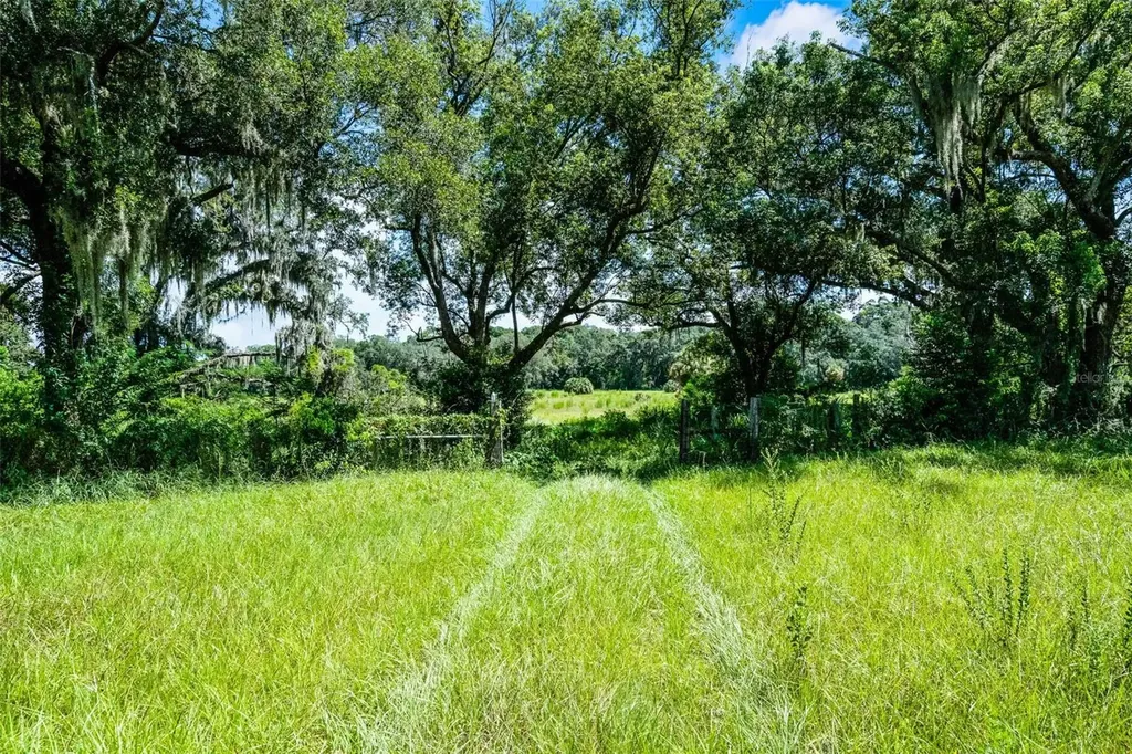 7466 Vivian Lane Orlando FL 32818