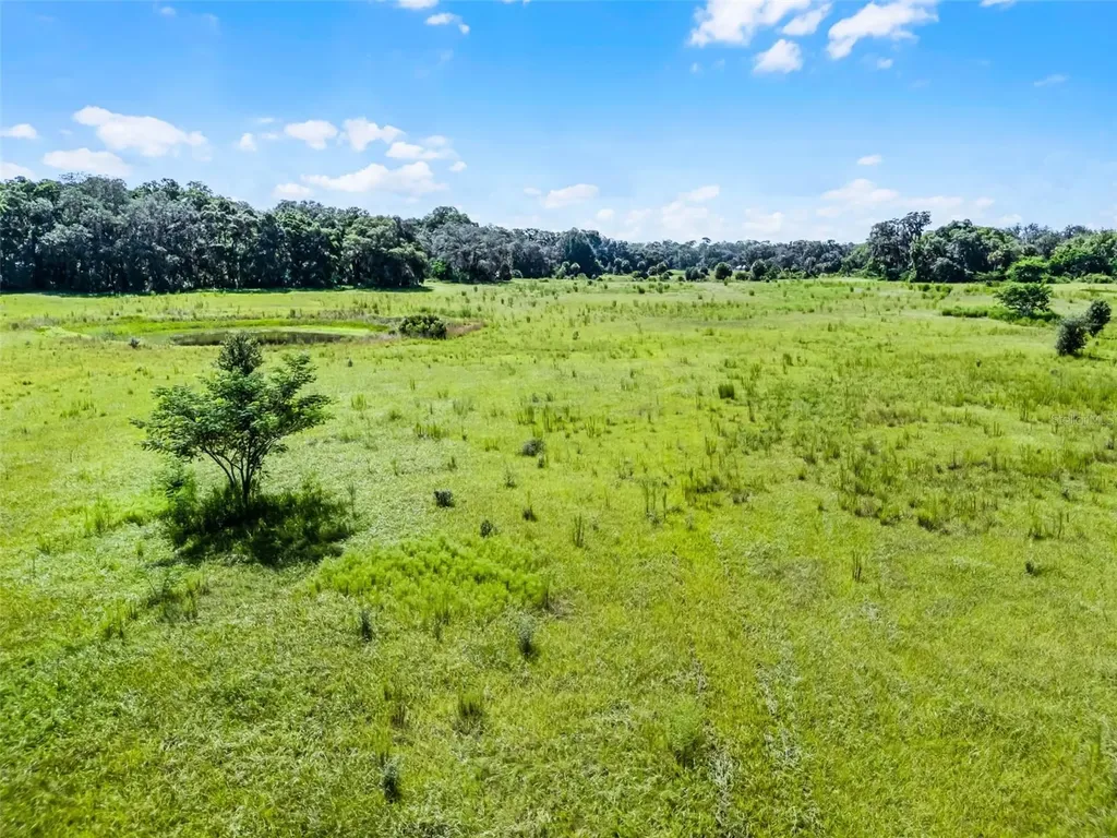 7466 Vivian Lane Orlando FL 32818