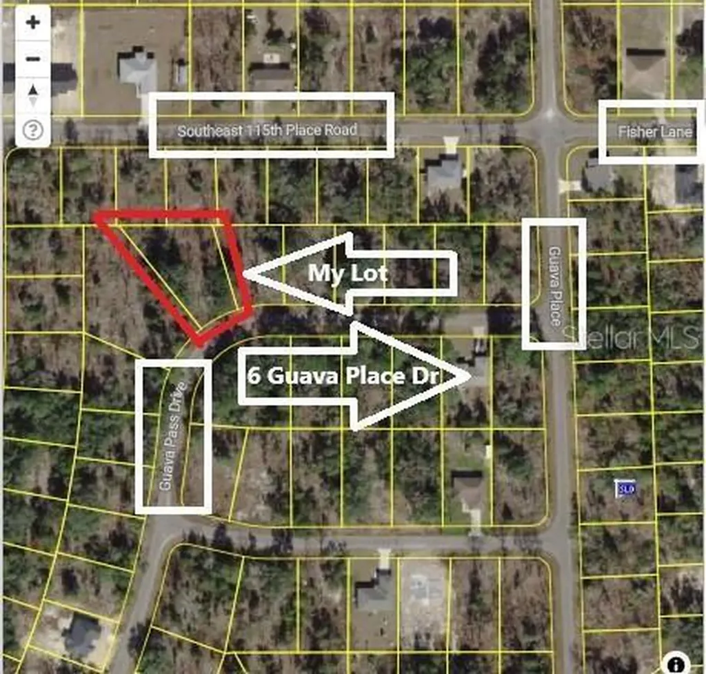 0024 Guava Pass Drive Ocklawaha FL 32179