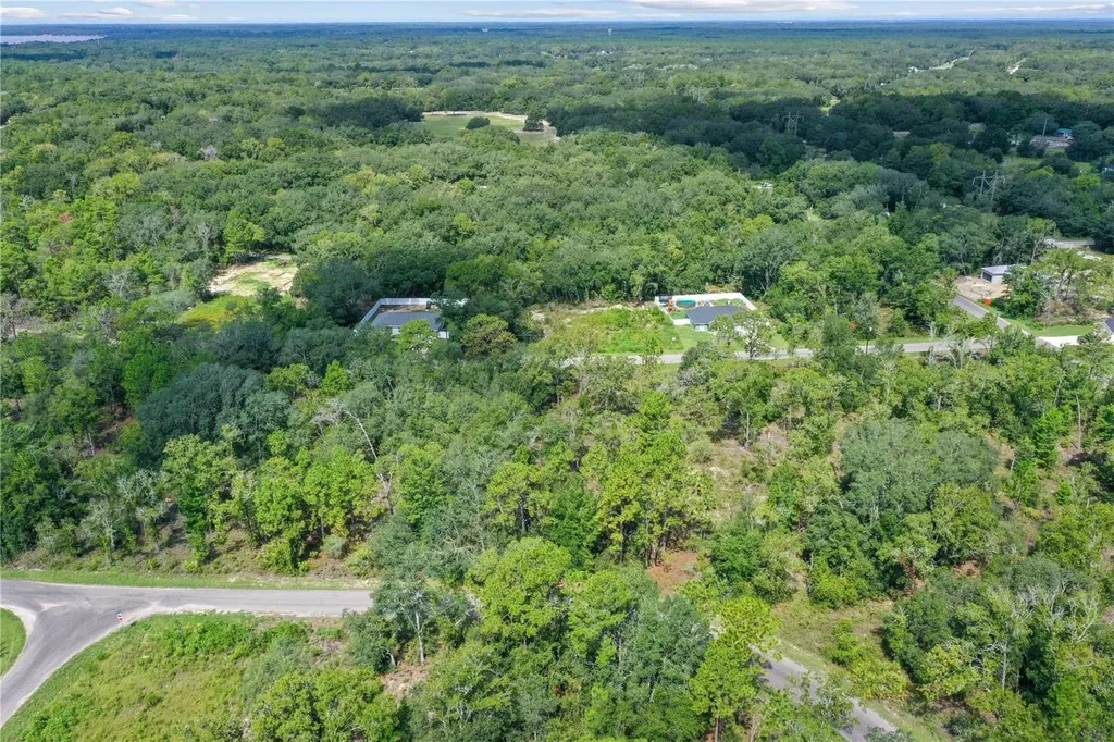 0024 Guava Pass Drive Ocklawaha FL 32179