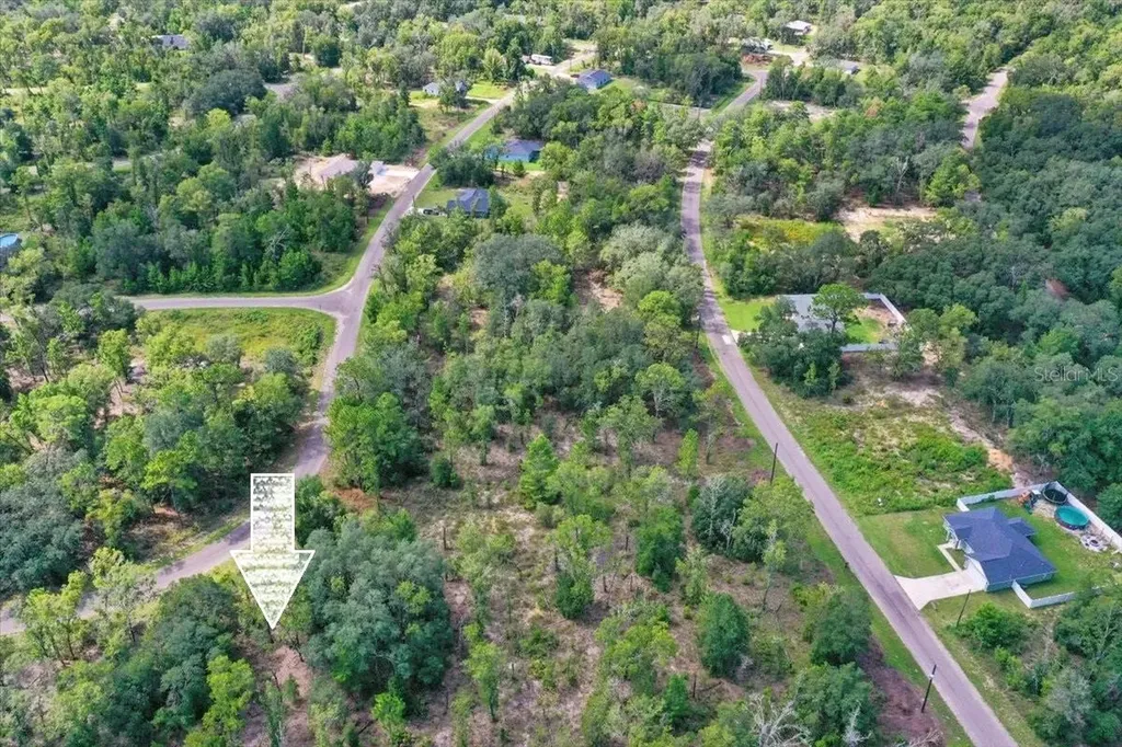 0024 Guava Pass Drive Ocklawaha FL 32179