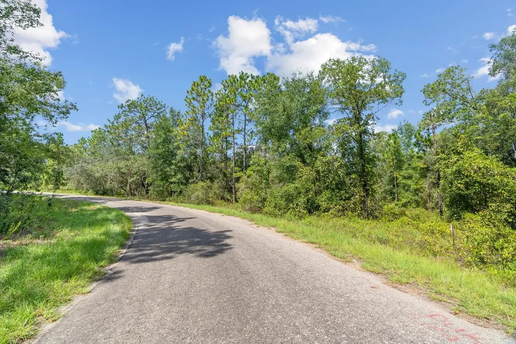 0024 Guava Pass Drive Ocklawaha FL 32179
