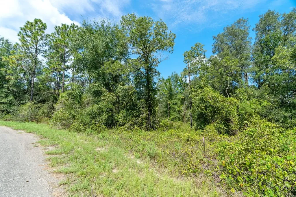 0024 Guava Pass Drive Ocklawaha FL 32179