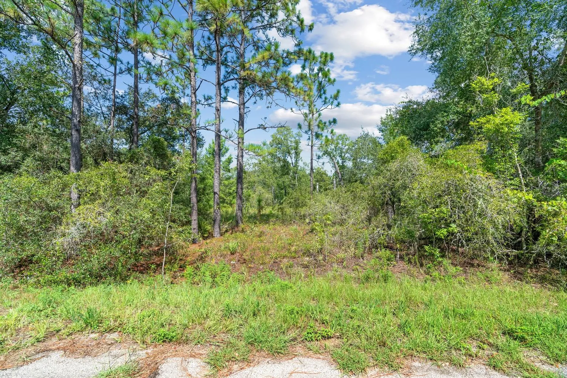 0024 Guava Pass Drive Ocklawaha FL 32179
