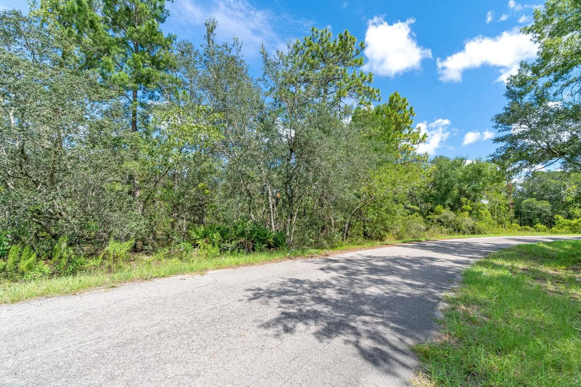 0024 Guava Pass Drive Ocklawaha FL 32179