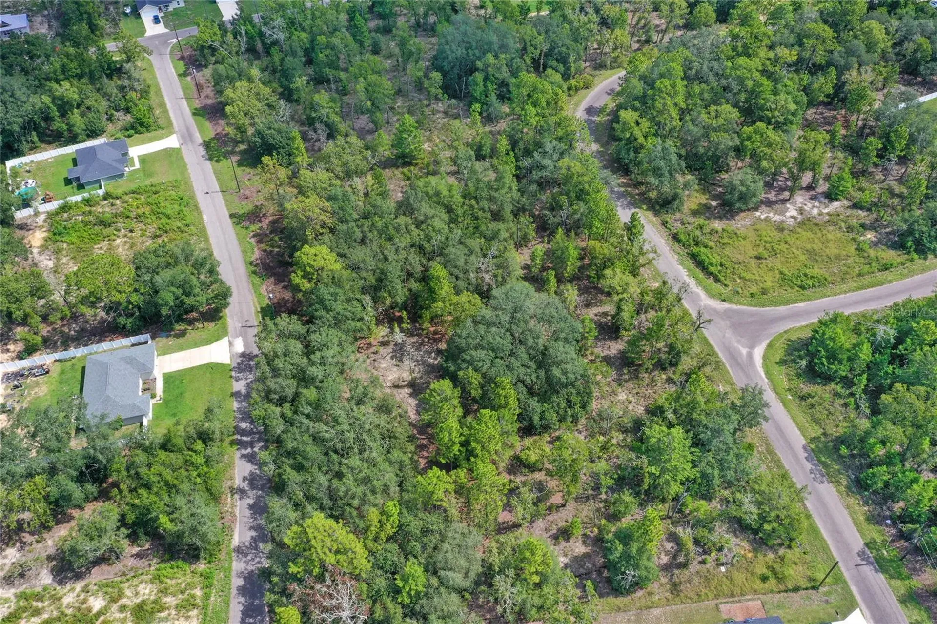 0024 Guava Pass Drive Ocklawaha FL 32179