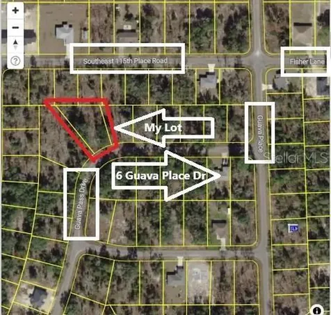 0024 Guava Pass Drive Ocklawaha FL 32179