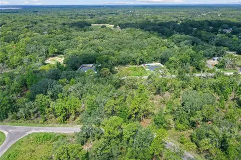 0024 Guava Pass Drive Ocklawaha FL 32179