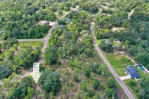 0024 Guava Pass Drive Ocklawaha FL 32179