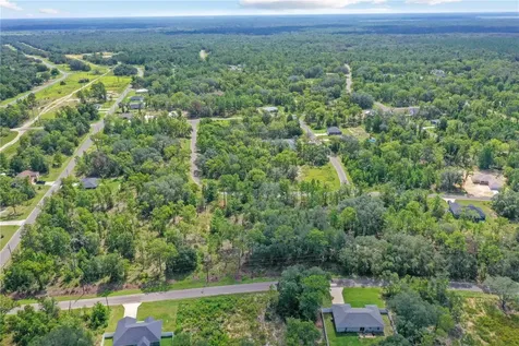 0024 Guava Pass Drive Ocklawaha FL 32179