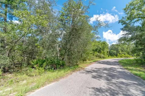 0024 Guava Pass Drive Ocklawaha FL 32179