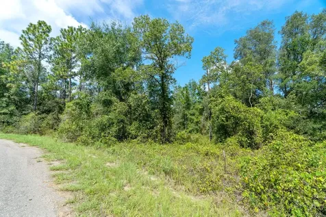 0024 Guava Pass Drive Ocklawaha FL 32179
