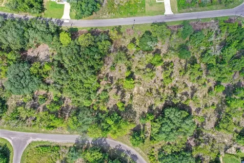 0024 Guava Pass Drive Ocklawaha FL 32179