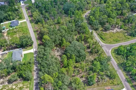 0024 Guava Pass Drive Ocklawaha FL 32179