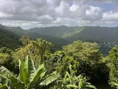 Jajome Alto Jajome Alto Cayey PR 00736