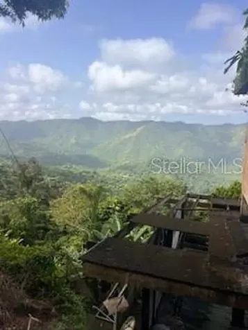 Jajome Alto Jajome Alto Cayey PR 00736