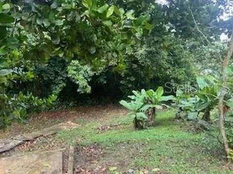 Jajome Alto Jajome Alto Cayey PR 00736