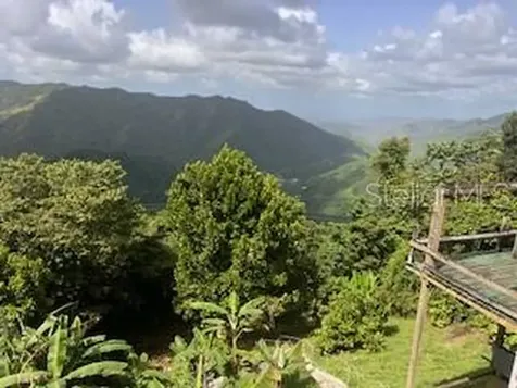 Jajome Alto Jajome Alto Cayey PR 00736