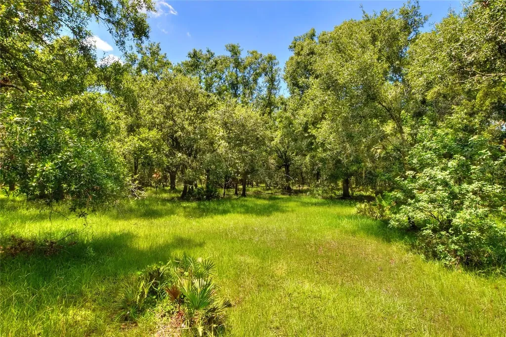 6838 Mary Lou Drive Riverview FL 33578