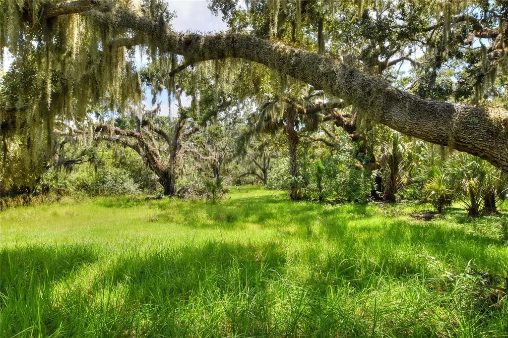 6838 Mary Lou Drive Riverview FL 33578