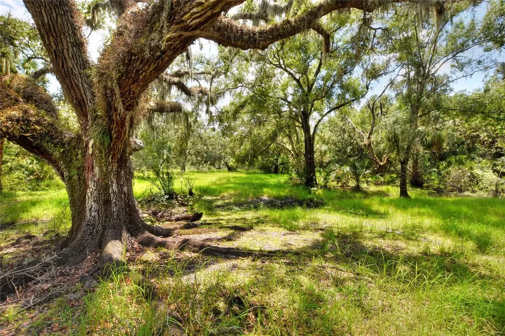 6838 Mary Lou Drive Riverview FL 33578