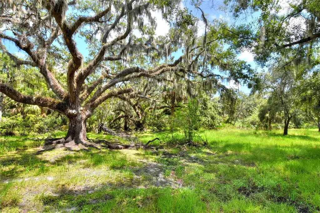 6838 Mary Lou Drive Riverview FL 33578