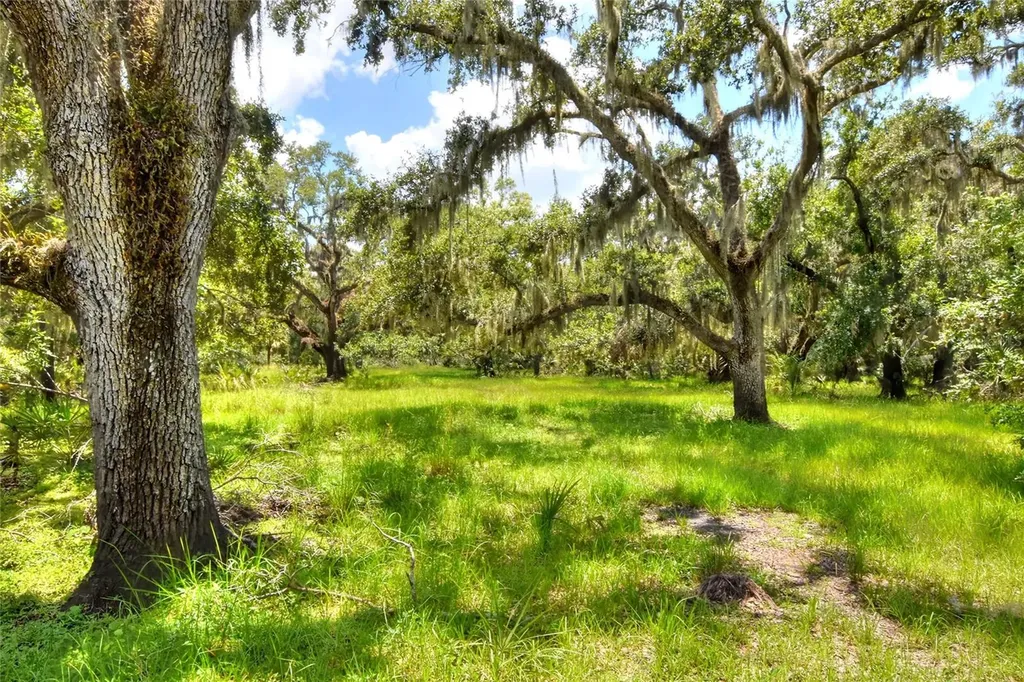 6838 Mary Lou Drive Riverview FL 33578