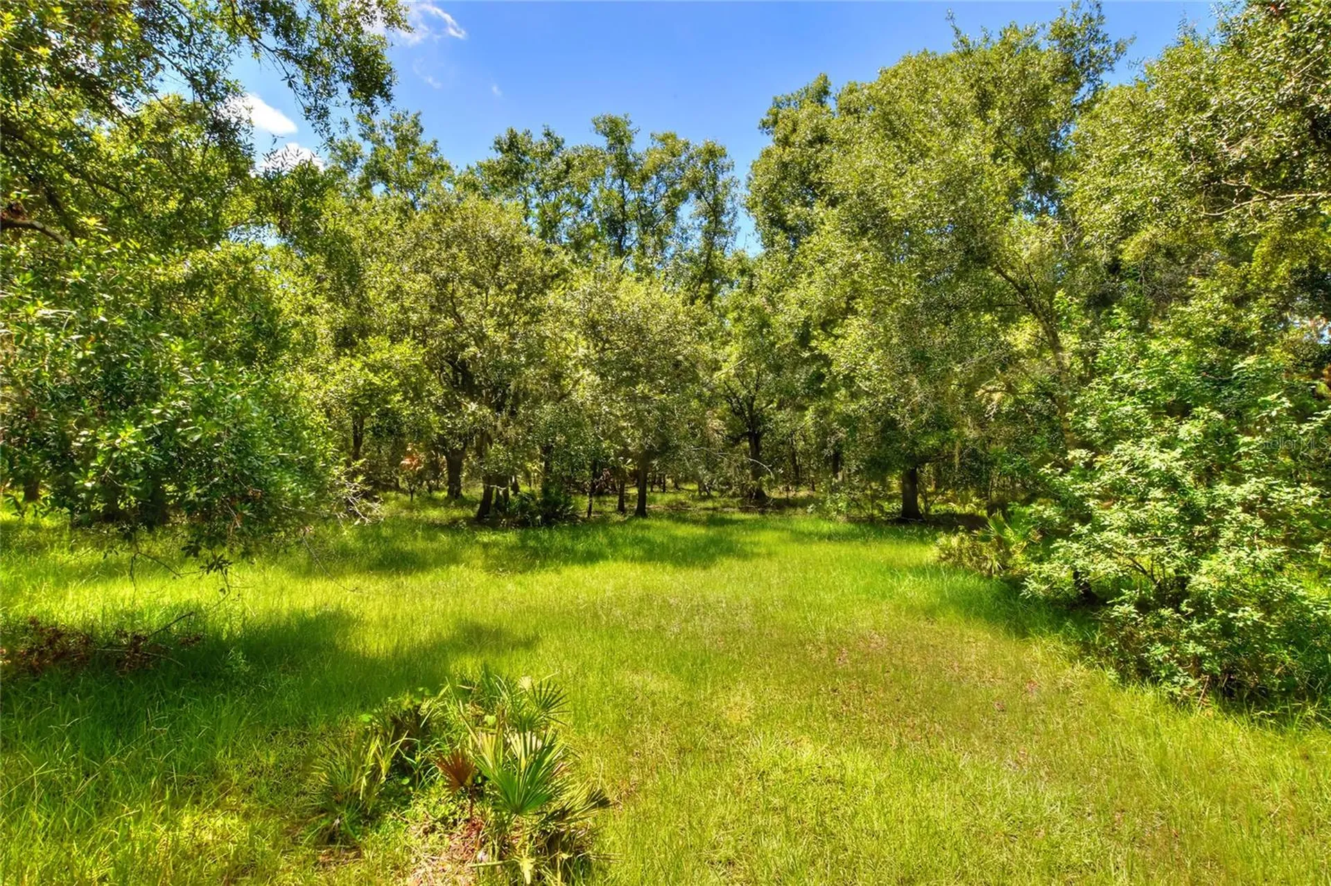 6838 Mary Lou Drive Riverview FL 33578