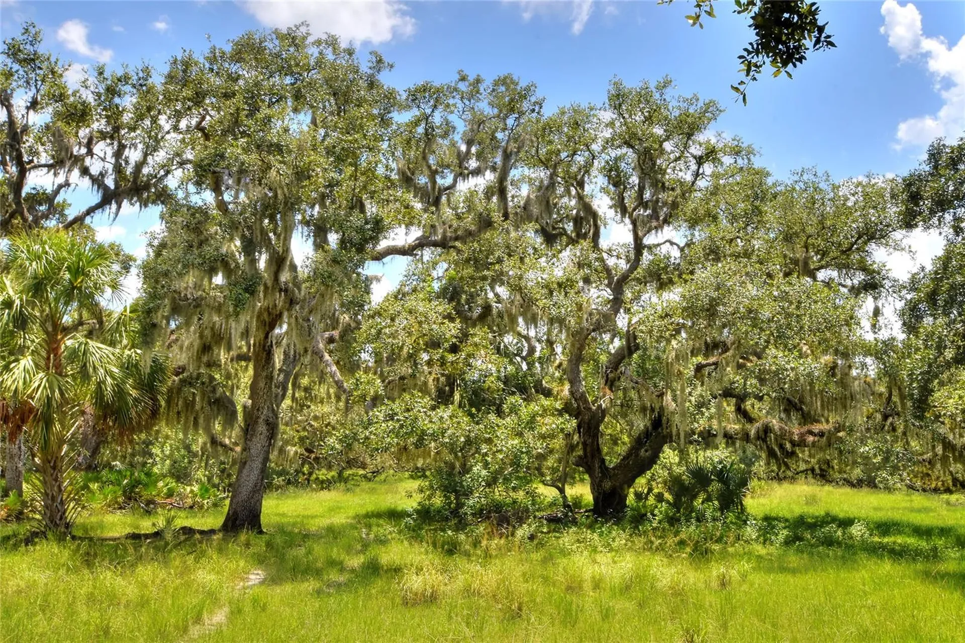 6838 Mary Lou Drive Riverview FL 33578
