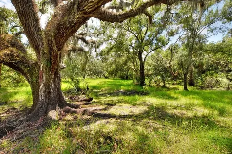 6838 Mary Lou Drive Riverview FL 33578