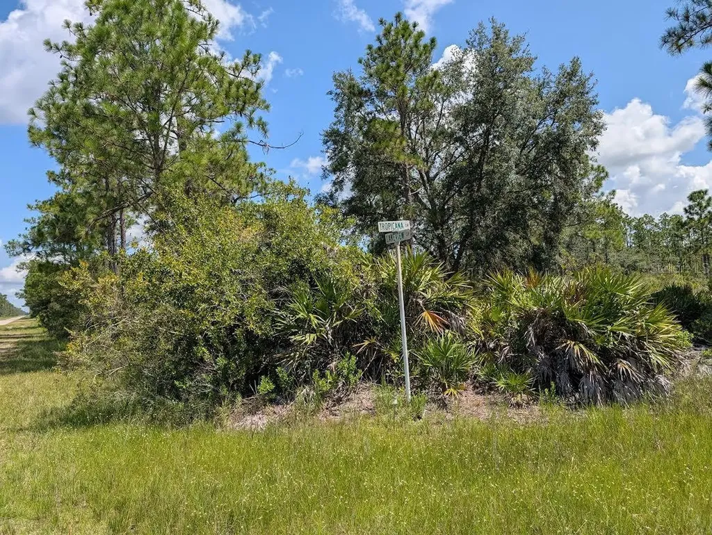 1113 Tropicana Drive Indian Lake Estates FL 33855