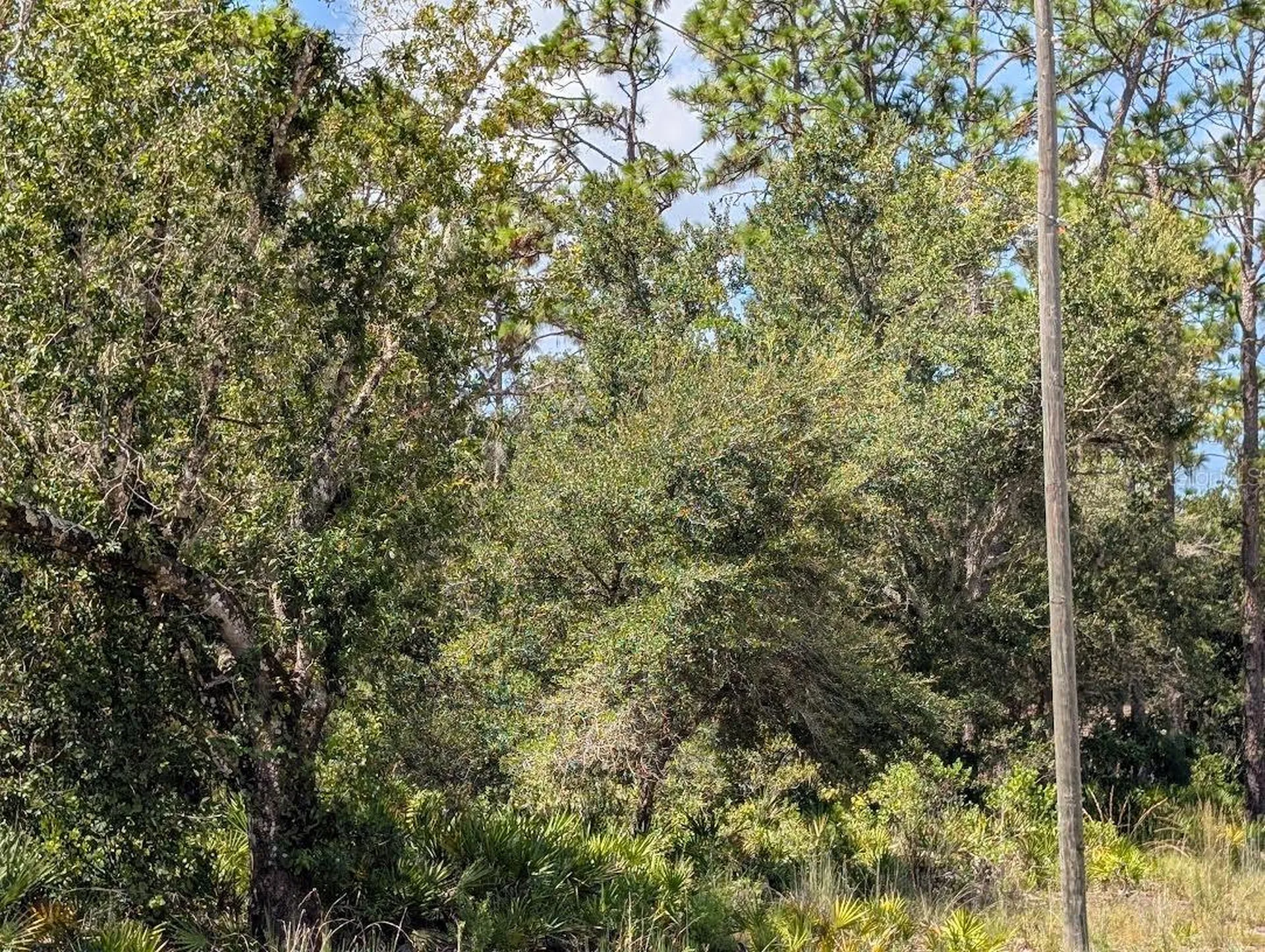 1113 Tropicana Drive Indian Lake Estates FL 33855