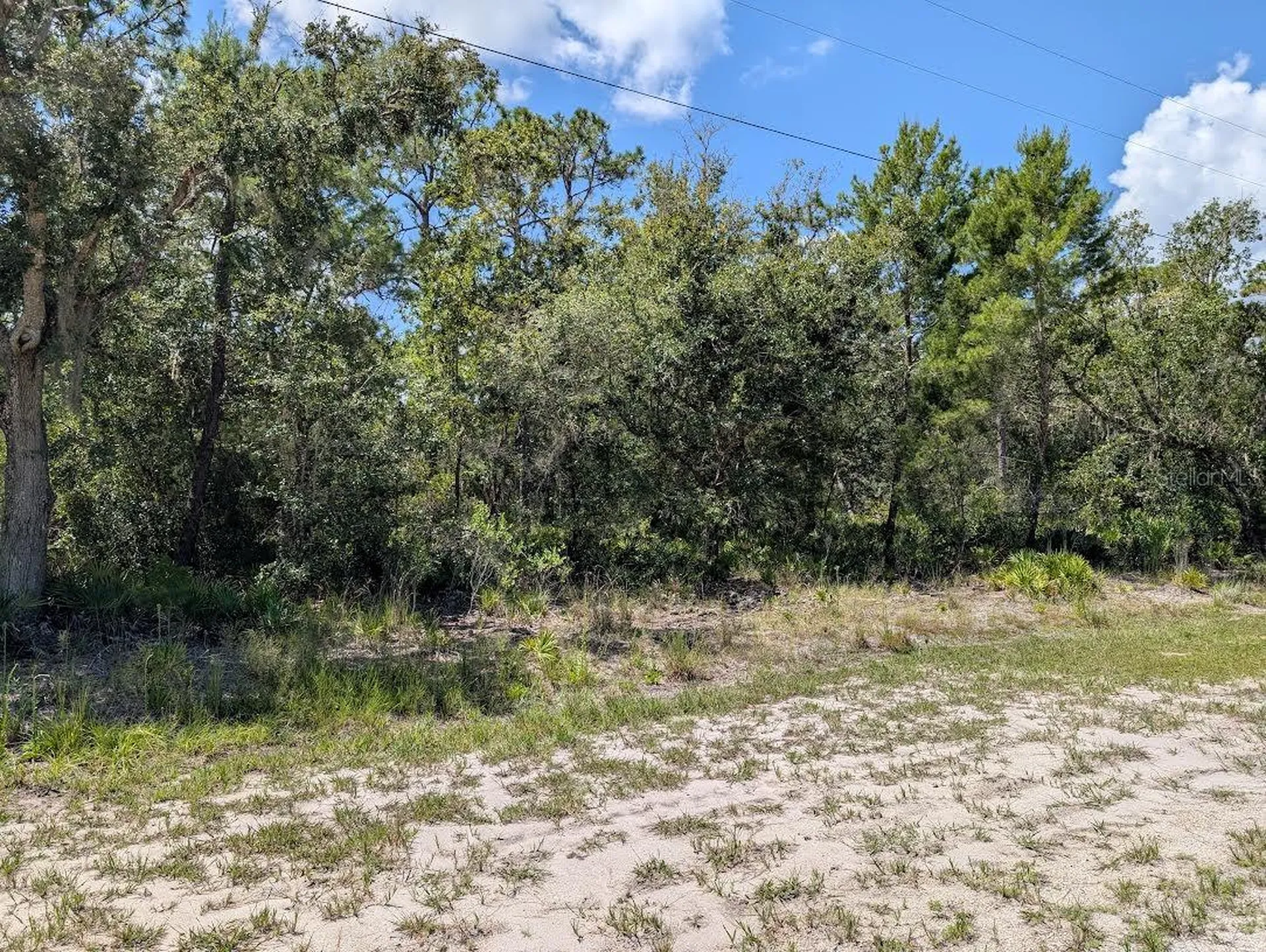 1113 Tropicana Drive Indian Lake Estates FL 33855