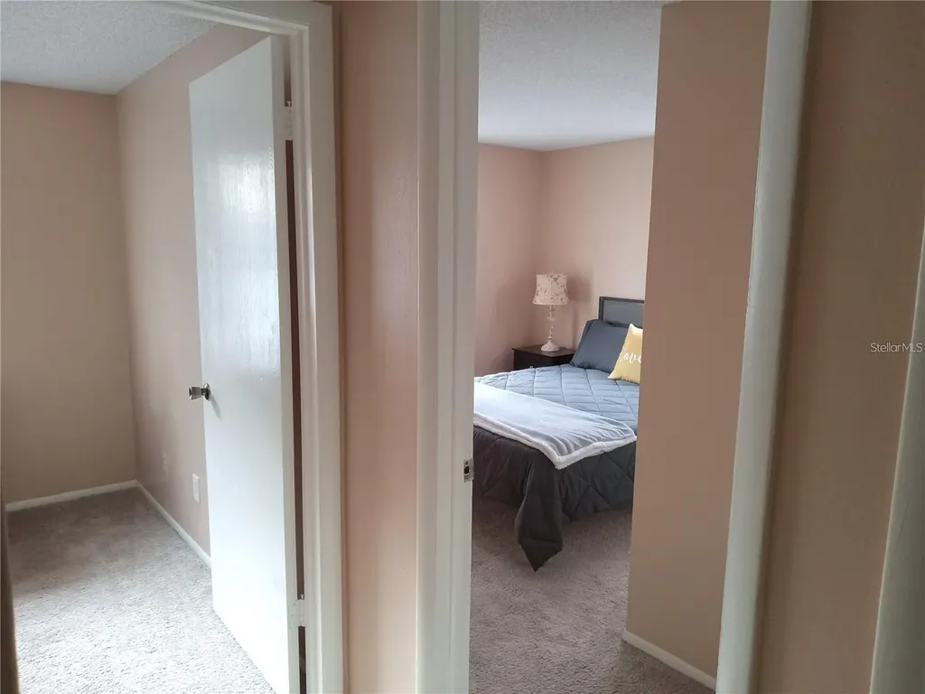 3118 Palm Court Dunedin FL 34698