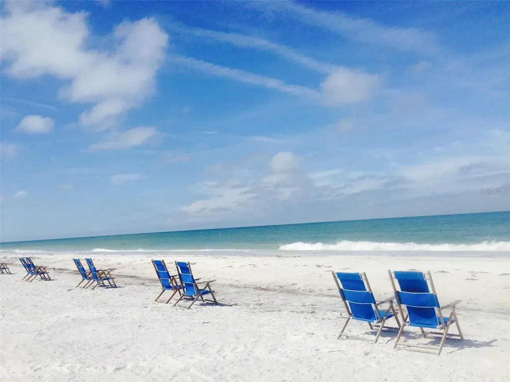 3118 Palm Court Dunedin FL 34698