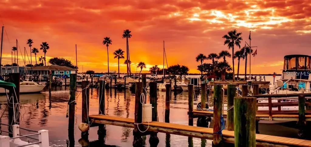 3118 Palm Court Dunedin FL 34698