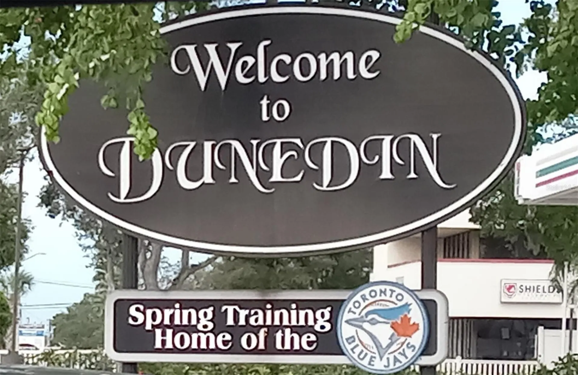 3118 Palm Court Dunedin FL 34698