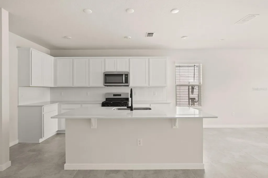 4066 Feather Tree Drive Apopka FL 32712