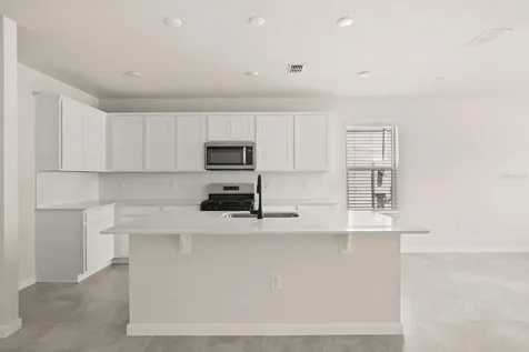 4066 Feather Tree Drive Apopka FL 32712