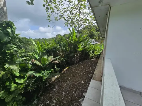 Sr 15 Km 20.4 Quebrada Arriba And Culebras Debajo Cayey PR 00736