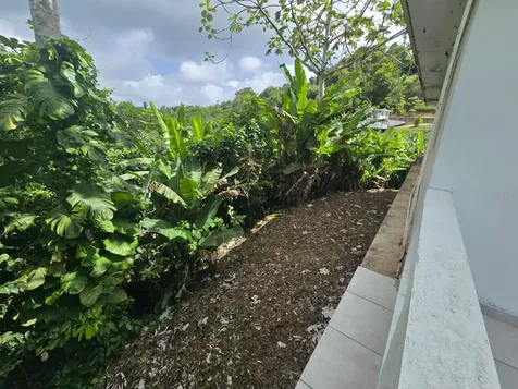 Sr 15 Km 20.4 Quebrada Arriba And Culebras Debajo Cayey PR 00736