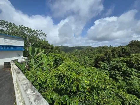 Sr 15 Km 20.4 Quebrada Arriba And Culebras Debajo Cayey PR 00736