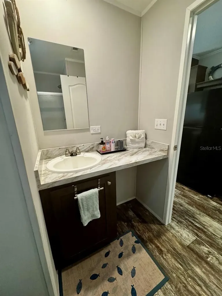 14365 NE 252nd Court Road Salt Springs FL 32134