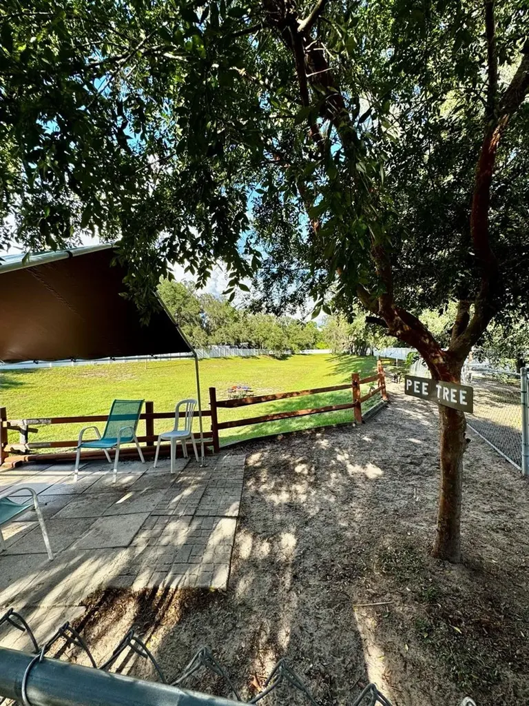 14365 NE 252nd Court Road Salt Springs FL 32134