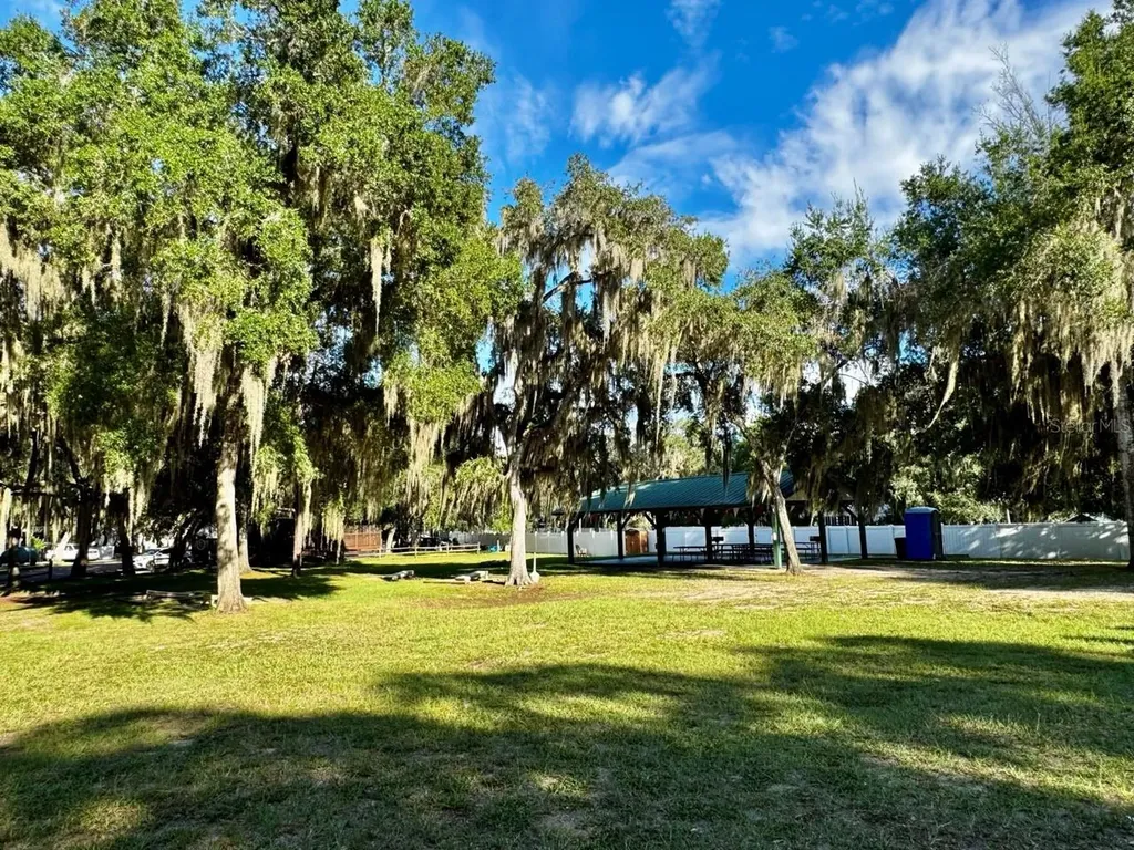 14365 NE 252nd Court Road Salt Springs FL 32134